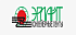А.М. Трищенко, ООО «Эрлайт»